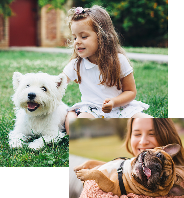 collage of happy dogs with their family