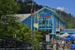 ripley's aquarium of the smokies in gatlinburg